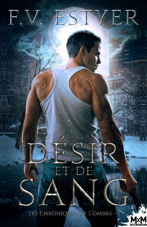 F.V. Estyer – Les Chroniques de l&rsquo;ombre T01 De désir et de sang